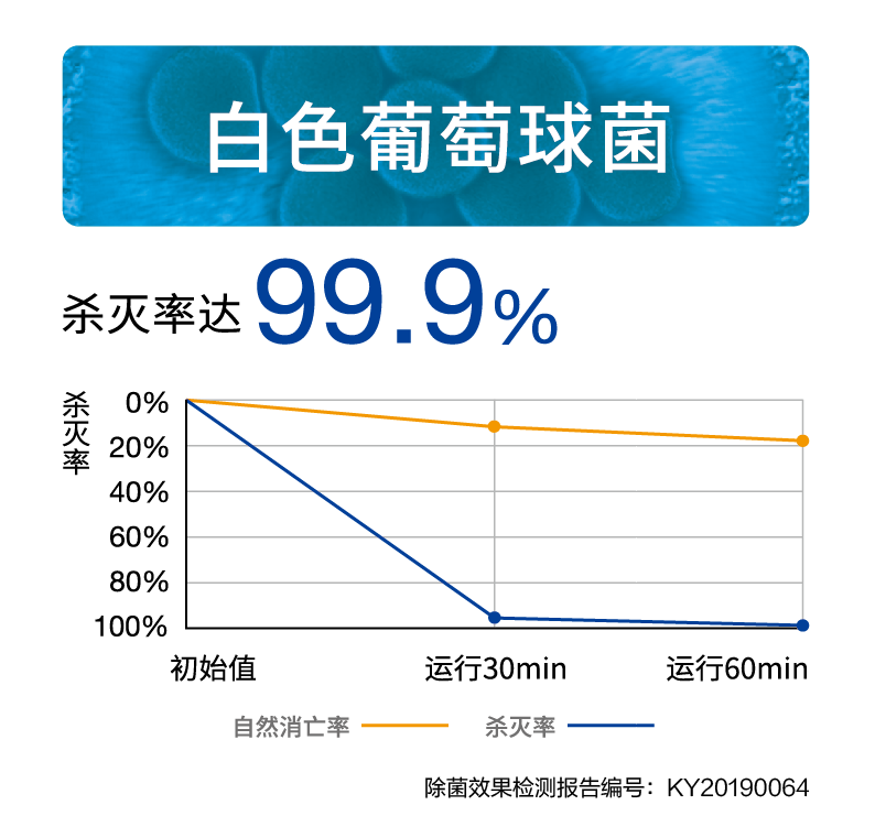 “次氯净”的运用